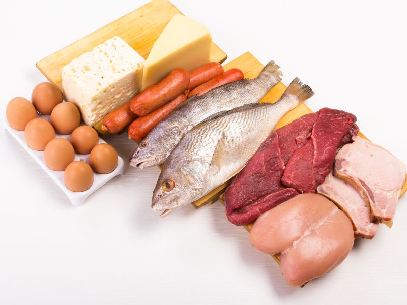 Nutrizione